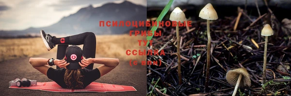 трава Белоозёрский