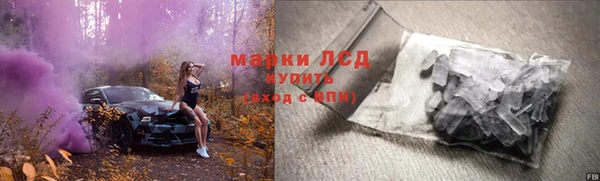 эйфоретик Белокуриха