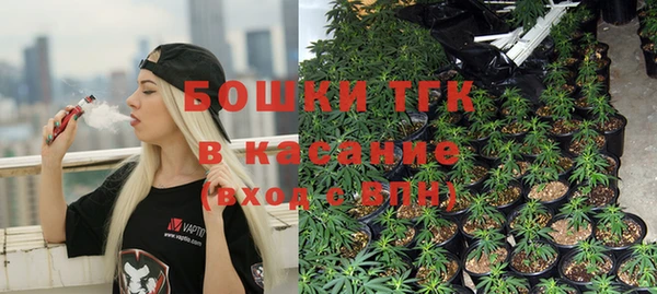 эйфоретик Белокуриха